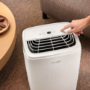 DeLonghi 10L AriaDry Evo Start Super-Quiet Dehumidifier