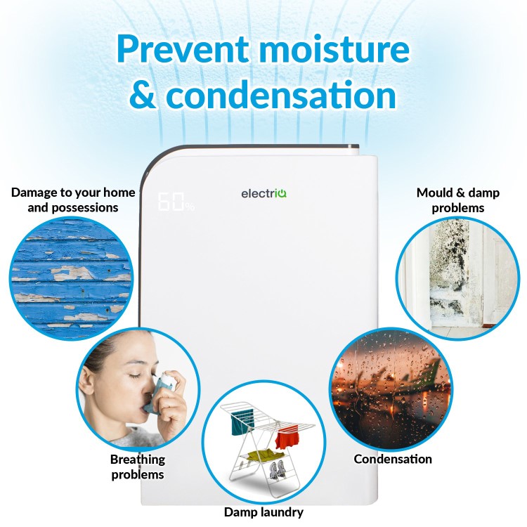 Refurbished electriQ 10 Litre Desiccant Dehumidifier with Heater and HEPA Air Purifier