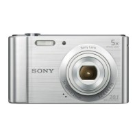 Sony CyberShot DSC-W800 Compact Digital Camera 