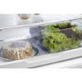 Fisher & Paykel E522BRXU4 24166 79cm Wide Curved Door Right Hand Hinge Freestanding Fridge Freezer With Ice And Water - EZKleen Stainless Steel