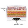 GRADE A2 - electriQ Maxi Digital Food Dehydrator with 6 Collapsible Shelves and 48 Hour Timer