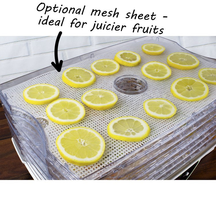 GRADE A2 - electriQ Maxi Digital Food Dehydrator with 6 Collapsible Shelves and 48 Hour Timer
