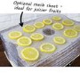 GRADE A2 - electriQ Maxi Digital Food Dehydrator with 6 Collapsible Shelves and 48 Hour Timer