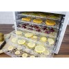 GRADE A1 - Electriq Pro Food Dehydrator - With 6 Shelves and 48 Hour Timer - Dehydrate Fruit Meat Vegetables With Recipes
