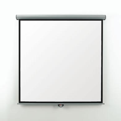 Metroplan Eyeline Manual Wall Screen - projection screen