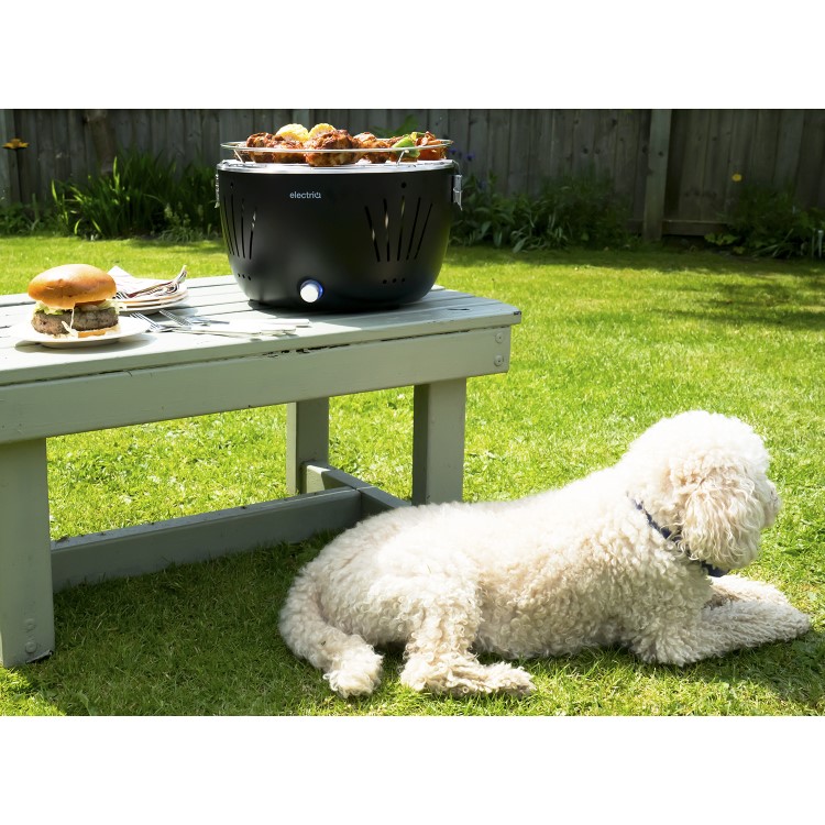 GRADE A1 - Portable Smokeless Charcoal BBQ Lotus Style Grill with Fan - Includes  Zipper Carry Bag and Pizza Pan