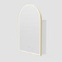 Single Door Brass Bathroom Mirror Cabinet with Lights Demister & Shaver Socket 500 x 800mm - Empire