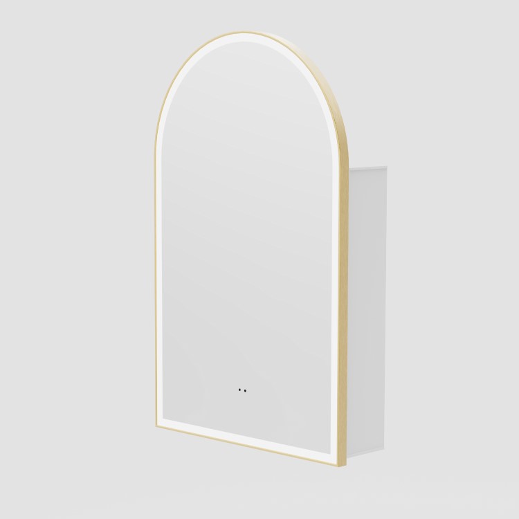 Single Door Brass Bathroom Mirror Cabinet with Lights, Demister & Shaver Socket 500 x 800mm - Empire