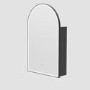 Single Door Black Bathroom Mirror Cabinet with Lights, Demister & Shaver Socket 500 x 800mm - Empire