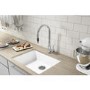Taylor & Moore Eden Single Lever Stainless Steel Tap with Pull out Spray