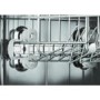 AEG F99009W0P SensorLogic ProClean 12 Place Freestanding Dishwasher White