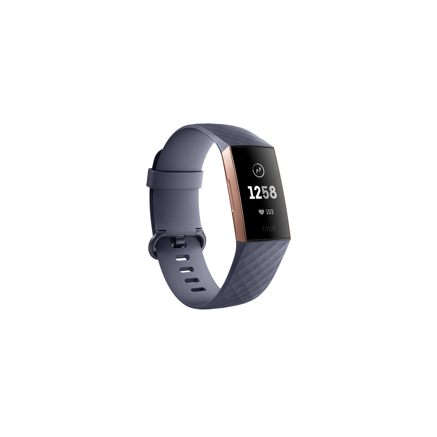 fitbit fb409rggy