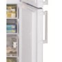 Hotpoint FFFL2013P Frost Free 60cm Wide Freestanding Fridge Freezer Polar White