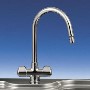 Franke Moselle Bi-flow Tap SilkSteel