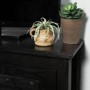 Black Wood Corner TV Unit with Storage - TVs up to 50" - Foster
