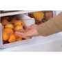 GRADE A2 - Hotpoint HBD5515W 60/40 First Edition 157x55cm 217L Freestanding Fridge Freezer - White