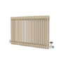 Reggio Beige grey Horizontal Double Column Traditional Radiator 600x1010mm 3462 BTU - Cast Iron Style