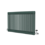 Reggio Evergreen Horizontal Double Column Traditional Radiator 600x1010mm 3462 BTU - Cast Iron Style