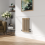 Reggio Cleopatra Horizontal Double Column Traditional Radiator 600x425mm 1416 BTU - Cast Iron Style