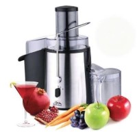 Heaven Fresh HF 3022 NaturoPure Powerful Deluxe Juicer Stainless Steel
