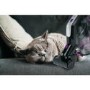 Hoover HF222MPT H-Free 200 Pets Cordless Vacuum Cleaner
