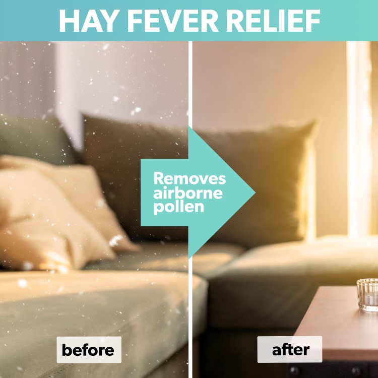 Honeywell Premium True HEPA Air Purifier with Air Quality Sensor