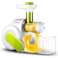 GRADE A1 - electriQ HSL600 Slow Masticating Cold Press Juicer BPA free