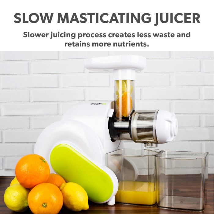 ElectriQ HSL600 Slow Masticating Cold Press Juicer BPA free Appliances Direct
