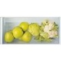 Refurbished Hotpoint HSZ12A2D2 Integrated 171 Litre In-column Larder Fridge Inox