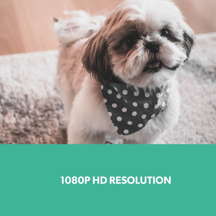 electriQ Smart Automatic Pet Feeder with 1080p HD camera & 2 way audio