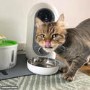 electriQ Smart Automatic Pet Feeder with 1080p HD camera & 2 way audio