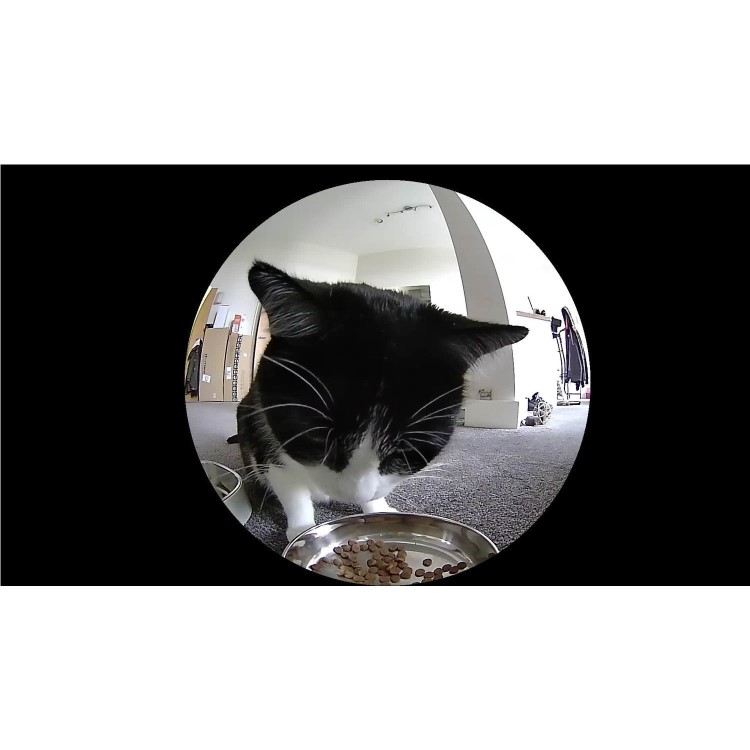 electriQ Smart Automatic Pet Feeder with 1080p HD camera & 2 way audio