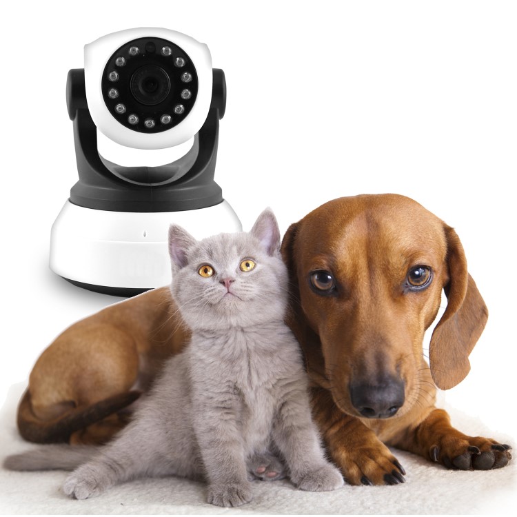 GRADE A1 - ElectrIQ Wifi Pet Monitoring Camera with Audio 