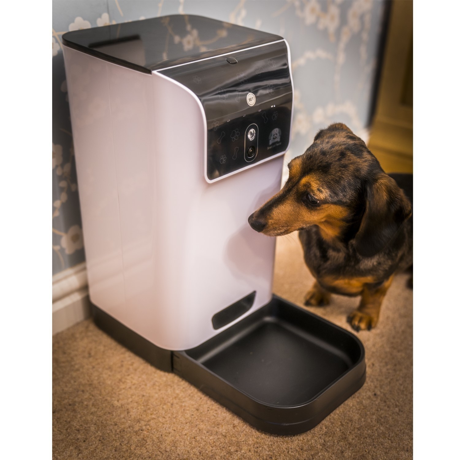 electriQ Pet Feeder with HD 720p Camera 2way audio & dedicated app IQ