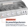 Boss Grill 6 Burner Built-In Gas BBQ - Stainless Steel 