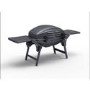 GRADE A1 - iQ Portable Gas BBQ Grill with Free Accessory Pack Includes BBQ Cover and Utensil Set