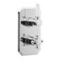 Taylor & Moore Twin Thermostatic Shower Valve