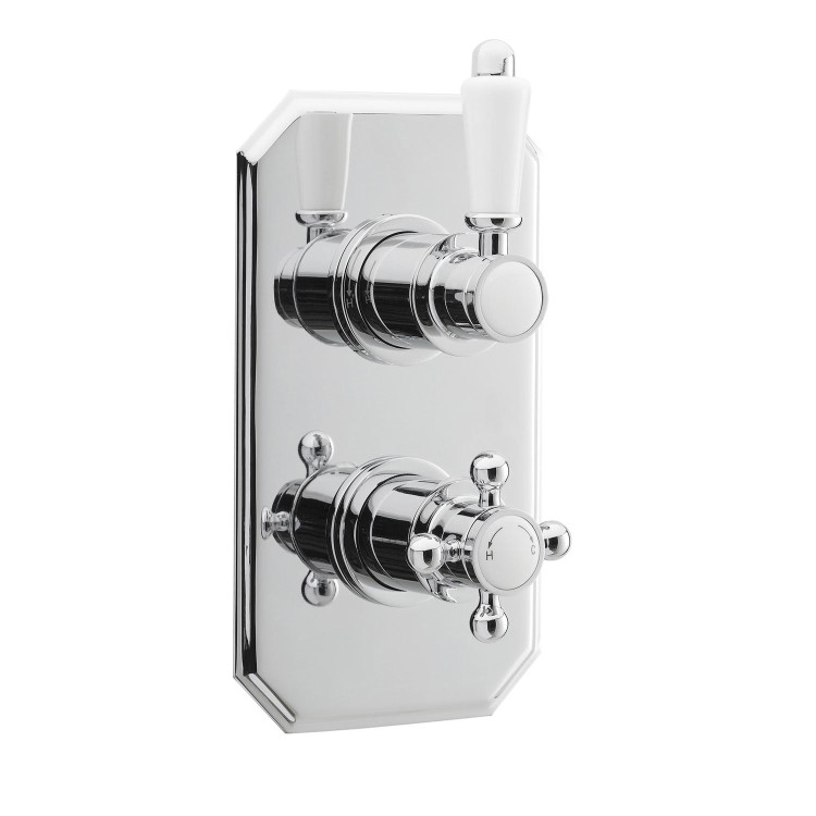 Taylor & Moore Twin Thermostatic Shower Valve