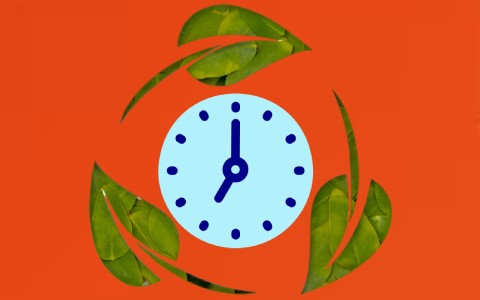 EcoTime.