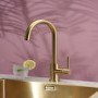 Reginox Gold Single Lever Swan Neck Kitchen Tap in Kalix Gold