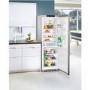 Liebherr 60cm Wide Freestanding Fridge - Stainless Steel