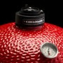 Refurbished Kamado Joe Junior KJ13RH with Cast Iron Stand
