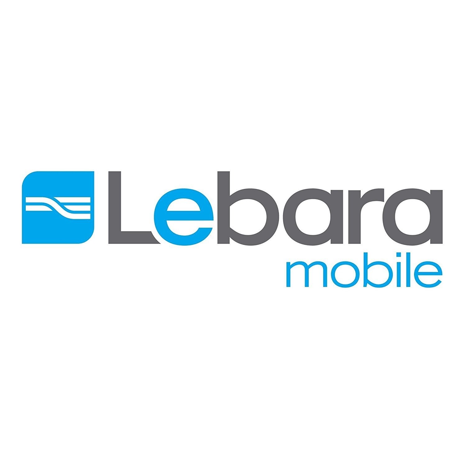 Lebara Standard Trio Sim Card LEBARATRIO Appliances Direct