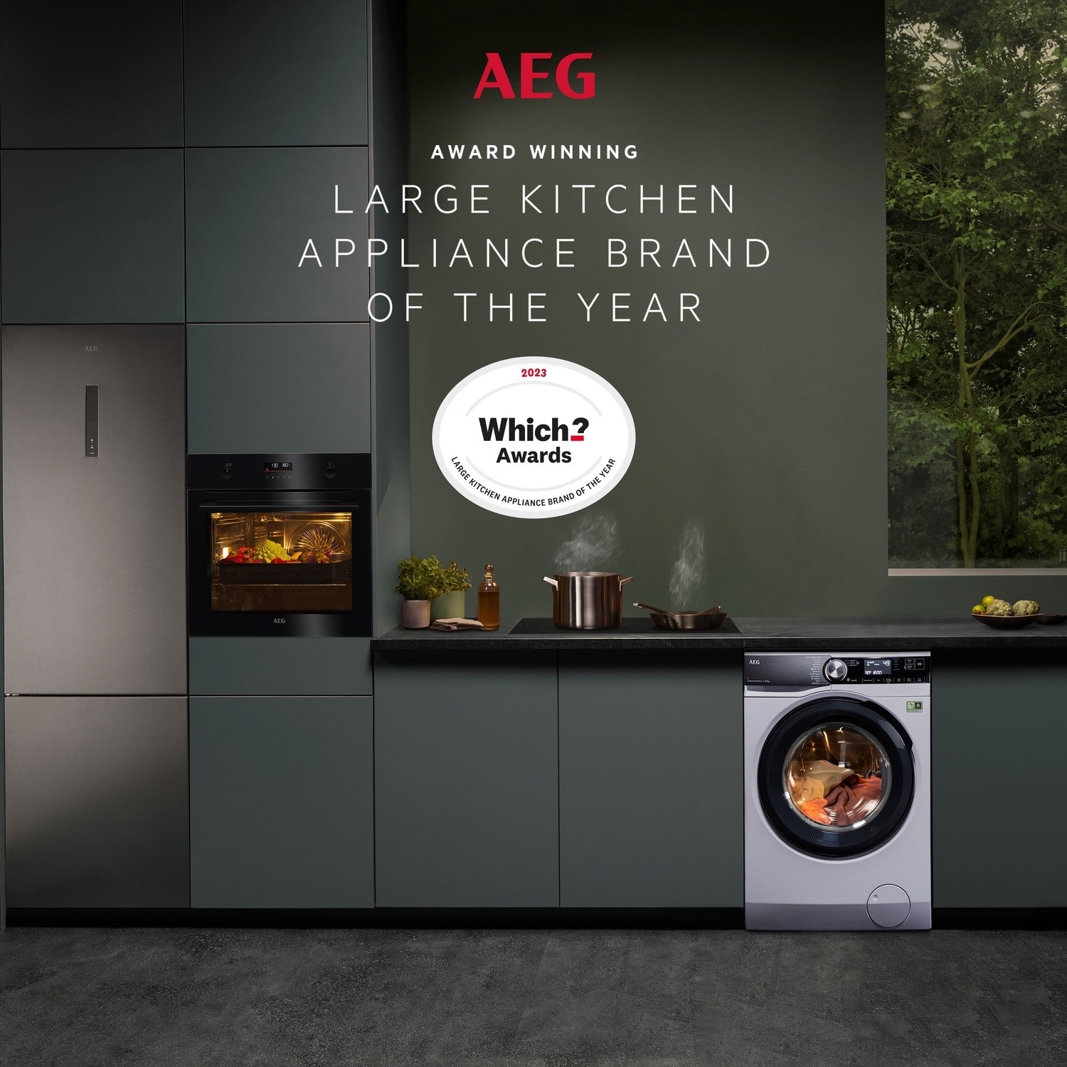 AEG 9000 Series AbsoluteCare Plus® 9kg 1400rpm Washing Machine White LFR94846WS Appliances