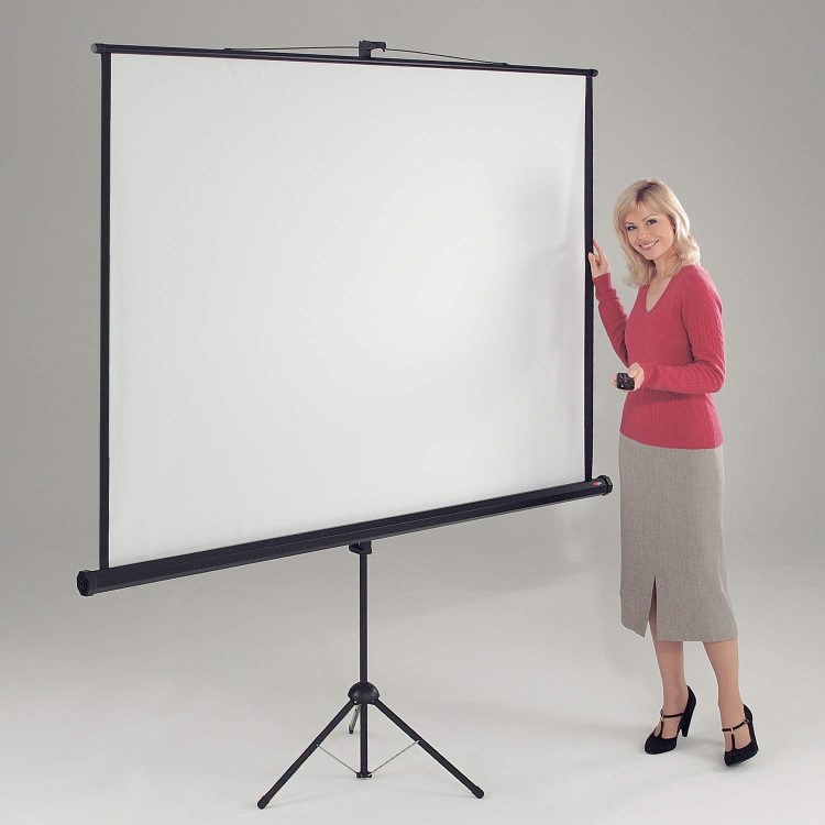 Metroplan Professional Tripod Screen - projection screen