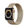 Apple Watch Series 6 GPS + Cellular - 40mm Gold Stainless Steel Case with Gold Milanese Loop