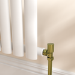 Elego Brushed Brass Modern Manual Angled Radiator Valves (pair)