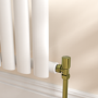 Elego Brushed Brass Modern Manual Angled Radiator Valves (pair)