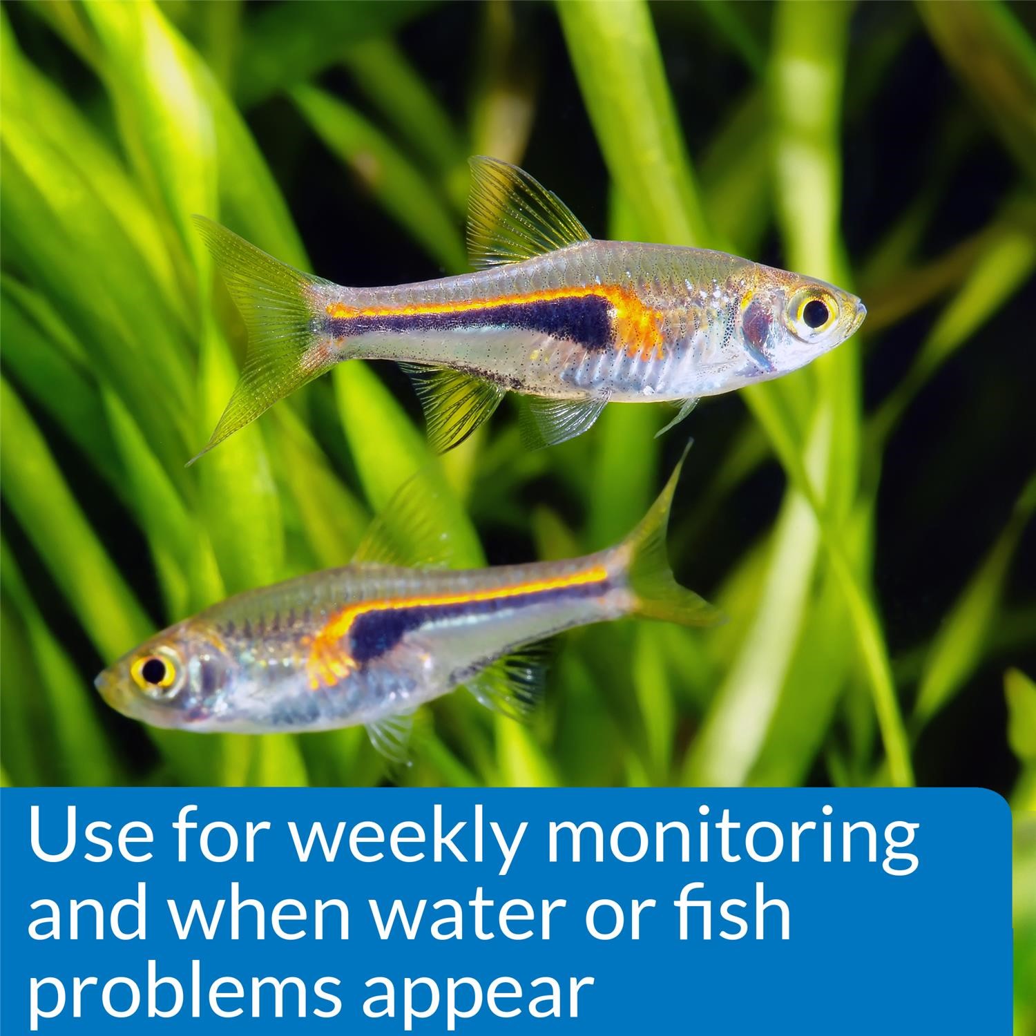 API Freshwaster And Saltwater Aquarium Test Kits - Picture 80 of 130