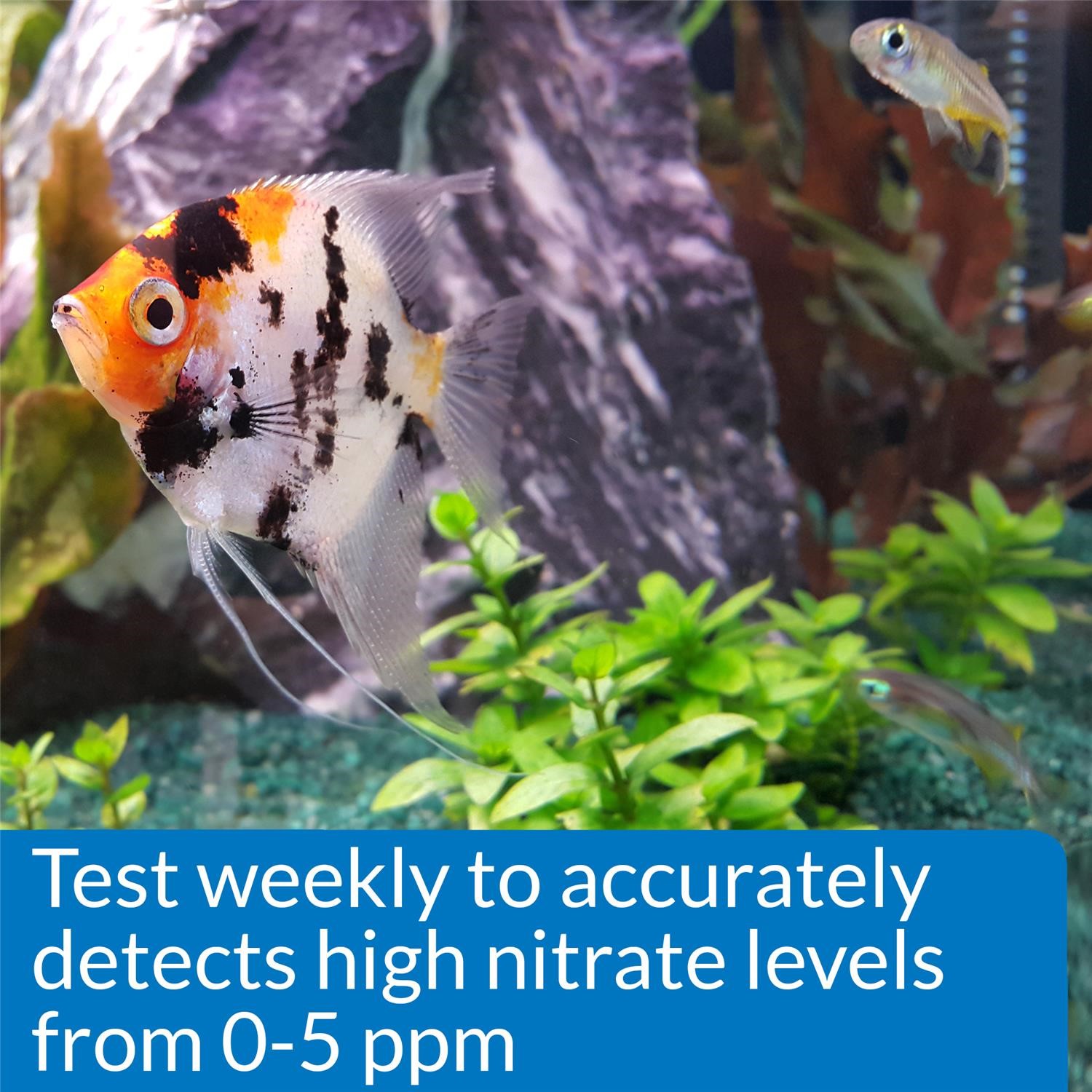 API Freshwaster And Saltwater Aquarium Test Kits - Picture 87 of 130